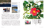冬の伊豆大島　椿の花と島料理