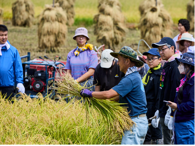 稲を刈って結わえる。新規就農した匹田哲弥さんがお手本を見せるが、これが初心者には難しい。匹田さんは元農業高校の校長先生。定年後、地元に戻ってきた
