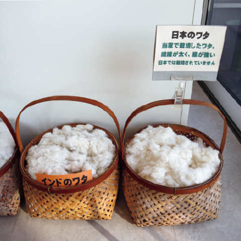 店頭では日本、インド、アメリカの品種の綿と、化繊の綿を触ることができる。布団にはコシがあるインドの綿が向く
アメリカの綿はやわらかく肌触りがいいので衣類に向いています