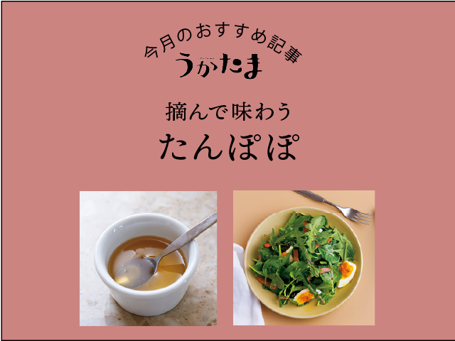 特集