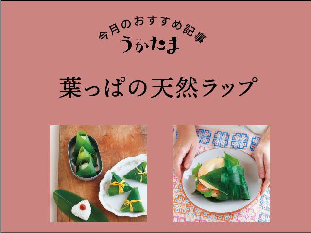 サムネ
